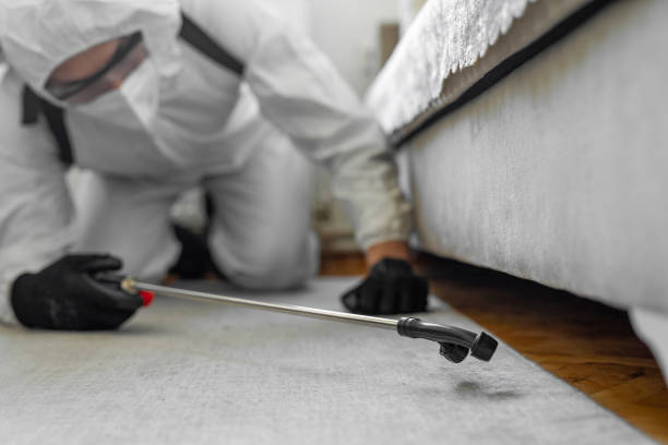 Professional Bed Bug Control technician working in Hardin County County, IA